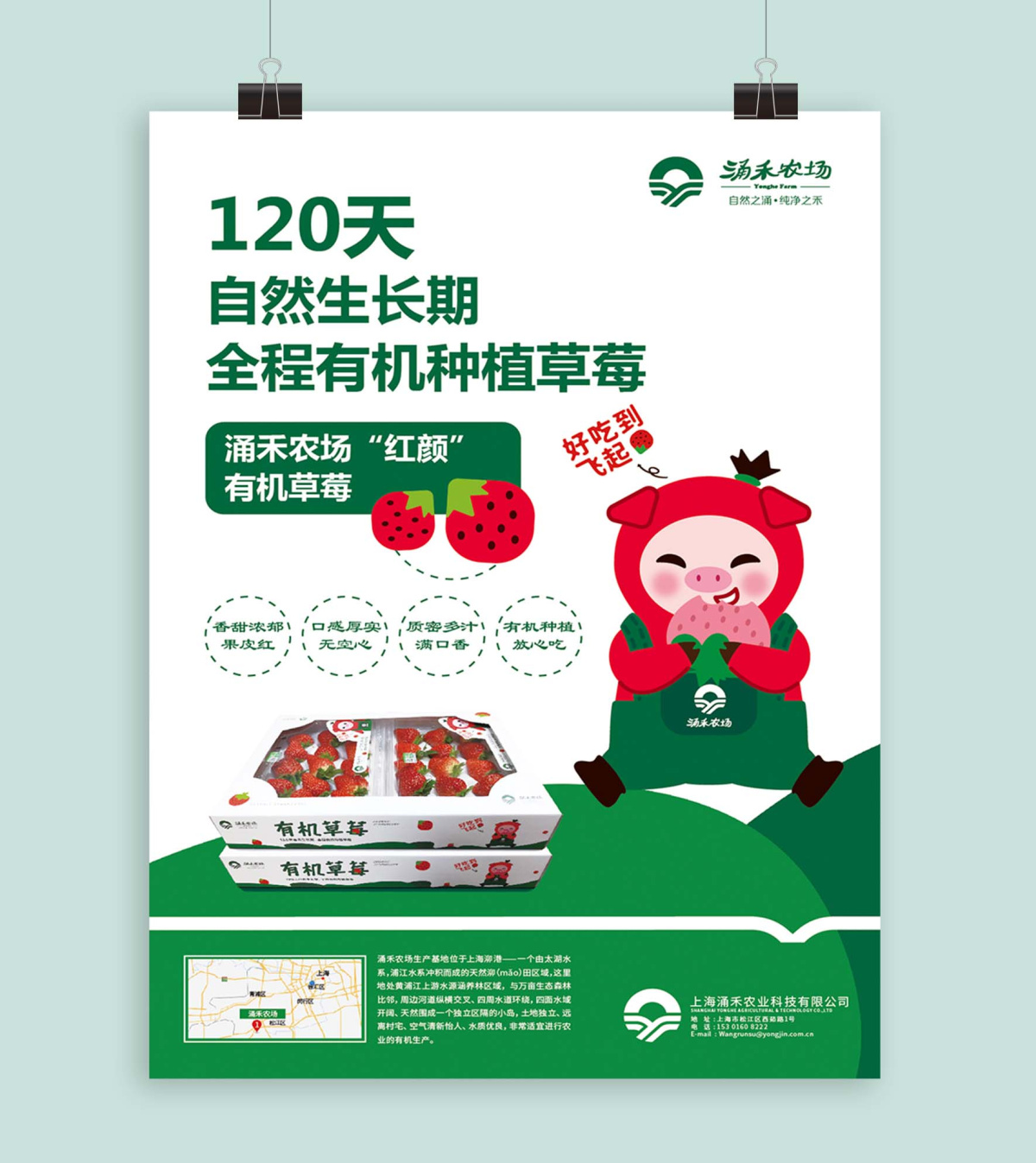 涌禾農(nóng)場有機草莓海報設(shè)計