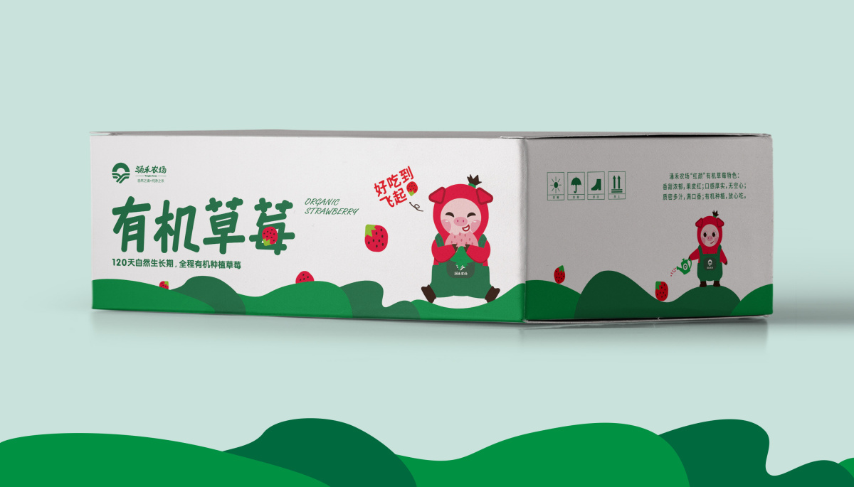 涌禾農場有機草莓包裝設計