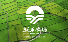 涌禾農(nóng)場(chǎng)農(nóng)業(yè)品牌商標(biāo)LOGO設(shè)計(jì)品牌VI視覺(jué)形象設(shè)計(jì)