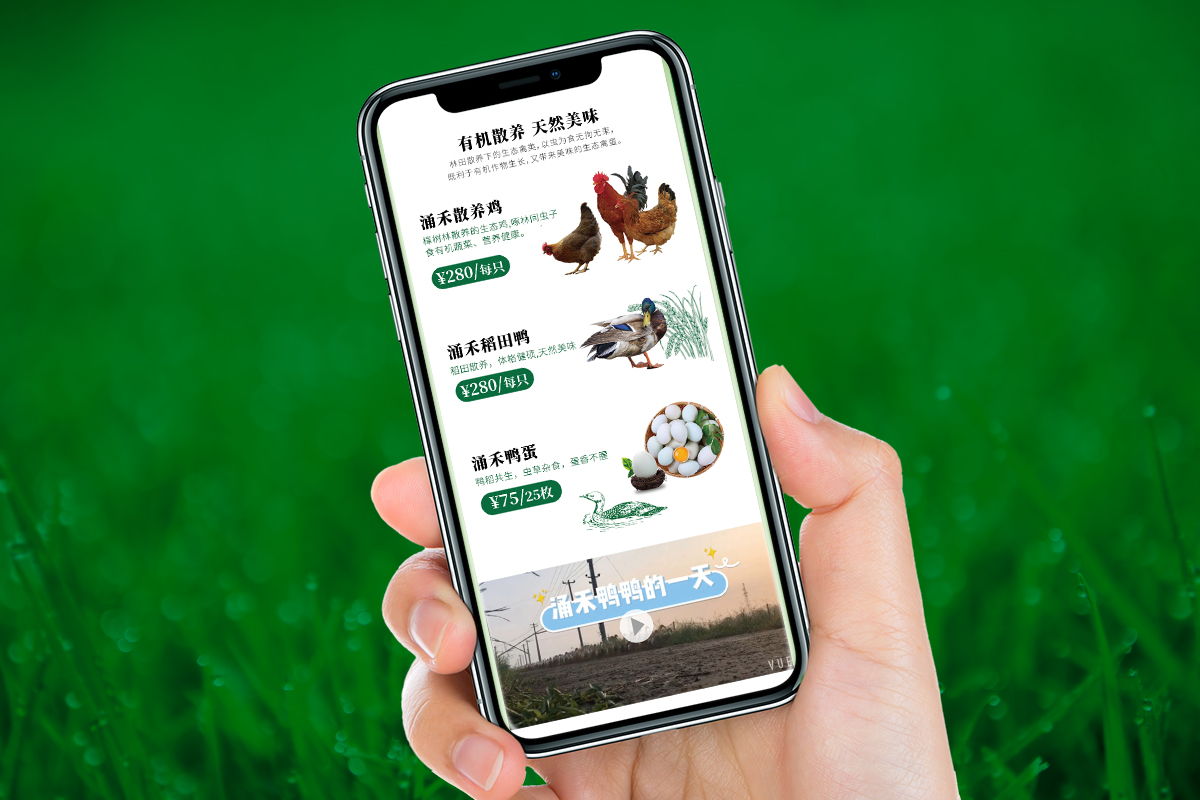 涌禾農(nóng)場農(nóng)產(chǎn)品有贊手機商城策劃設計