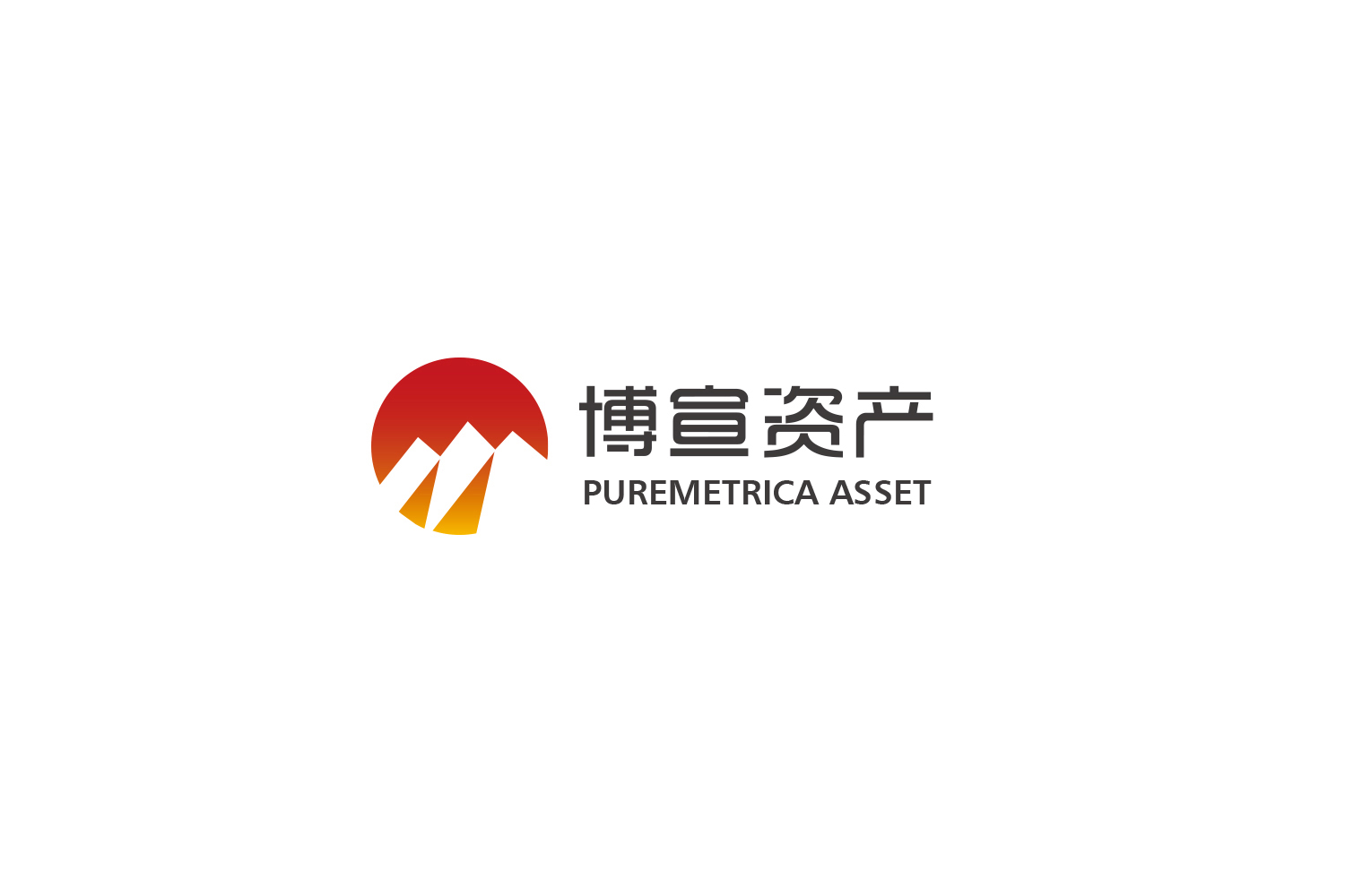 博宣投資管理公司logo設計提案