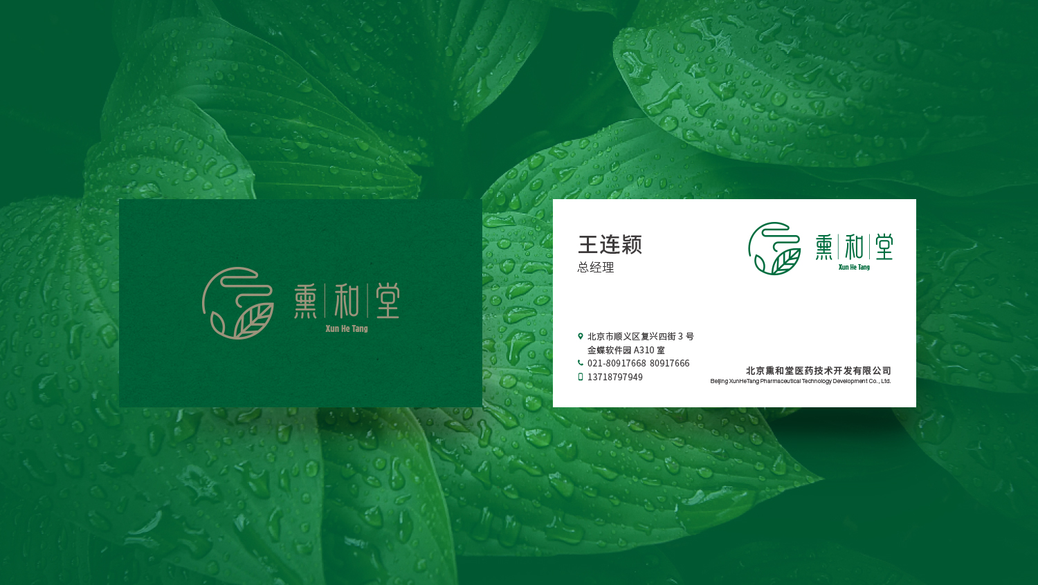 北京熏和堂中草藥熏蒸液熏香品牌命名logo設(shè)計vi設(shè)計包裝設(shè)計