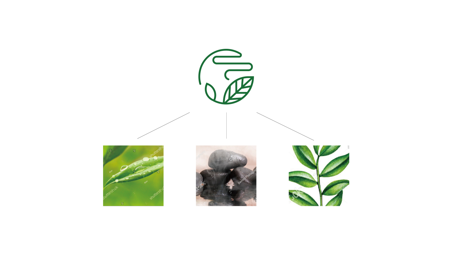 北京熏和堂中草藥熏蒸液熏香品牌命名logo設(shè)計vi設(shè)計包裝設(shè)計