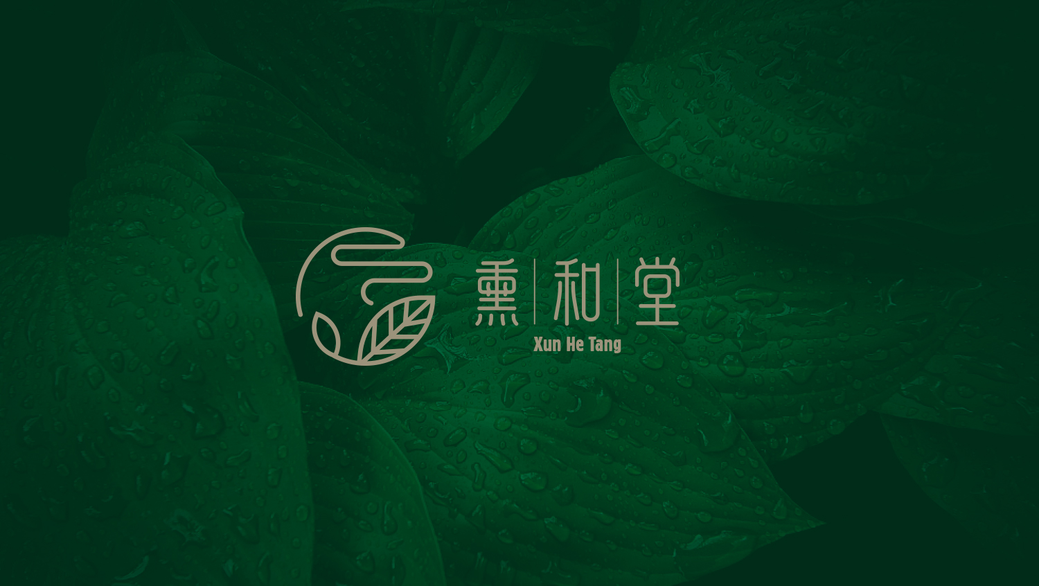 北京熏和堂中草藥熏蒸液熏香品牌命名logo設(shè)計vi設(shè)計包裝設(shè)計