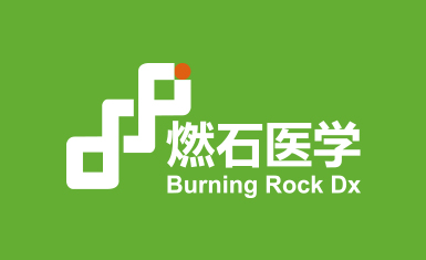 燃石醫(yī)學醫(yī)療品牌形象vi設計