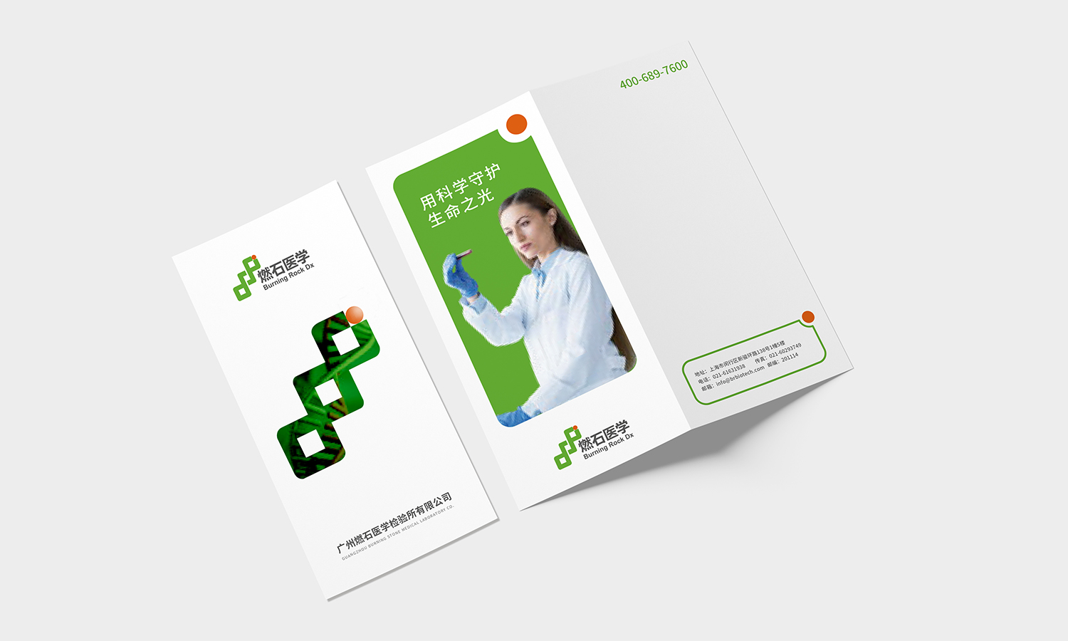 燃石醫(yī)學(xué)醫(yī)療品牌形象vi設(shè)計(jì)