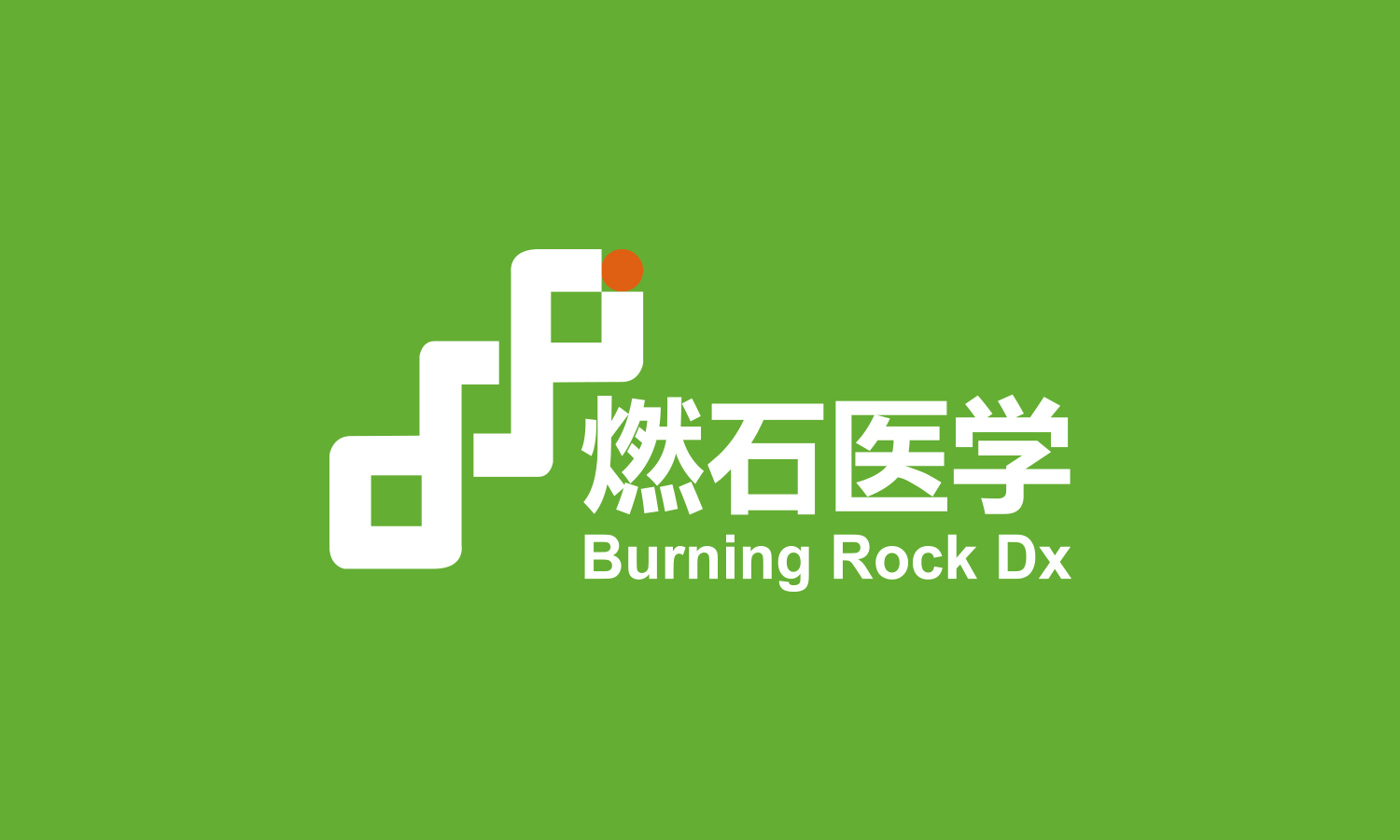 燃石醫(yī)學(xué)醫(yī)療品牌形象vi設(shè)計(jì)