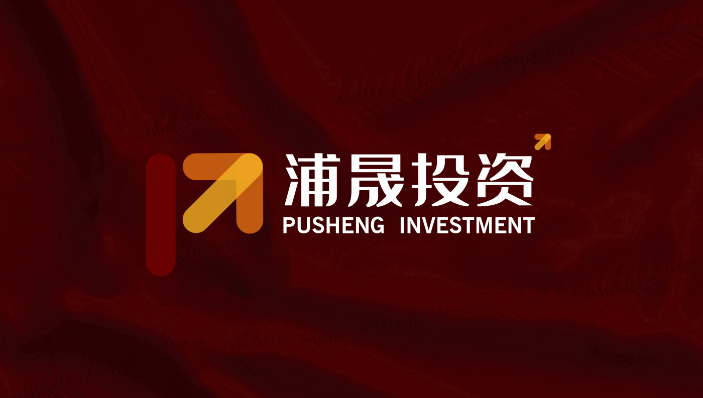 浦晟投資公司金融logo設(shè)計vi設(shè)計